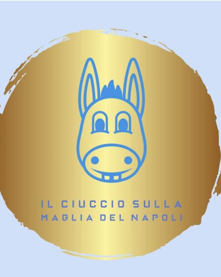 STASERA IL SUPERTIFOSO DEL CIUCCIO IN TV