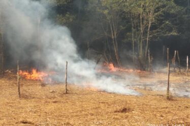 SEIMILA MQ DI BOSCO INCENDIATI
