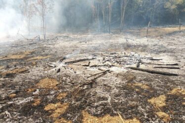 INCENDI ESTIVI BENVENUTO AUTUNNO di Dimitri Pierri