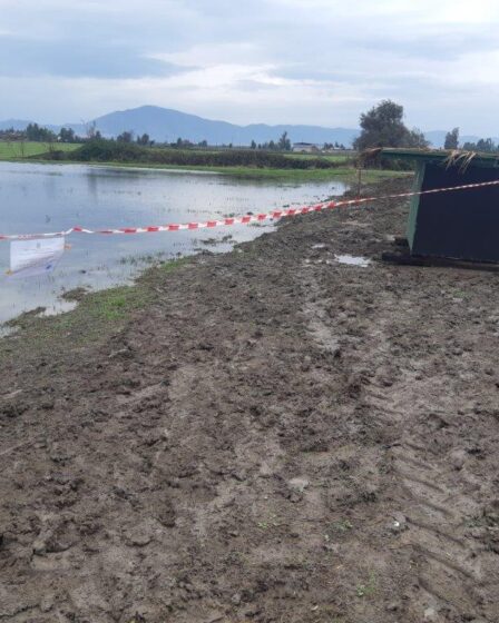 CACCIA DI FRODO SEQUESTRO DI SPECCHIO D’ACQUA