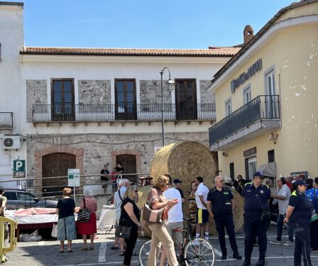 ORA CARINOLA SU TGTRE MA MANCA LEI. . .