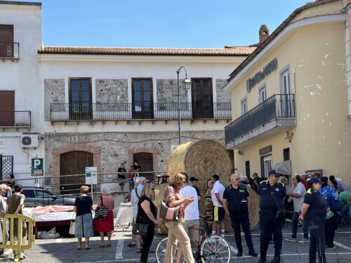 ORA CARINOLA SU TGTRE MA MANCA LEI. . . ORA CARINOLA SU TGTRE MA MANCA LEI. . .