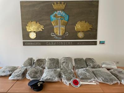 ARRESTATO CON 13KG DI MAIJUANA