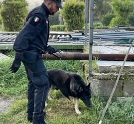 S.MARIA C.V. ARRESTATO SPACCIATORE
