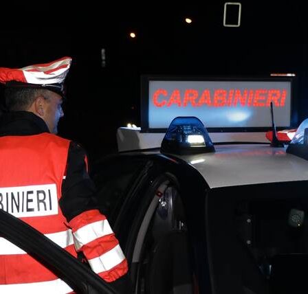 RUBA SEI PIANTE AL CIMITERO