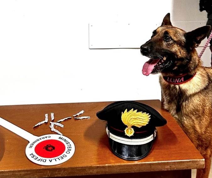 ALTRO CHE LUNA CANE ANTIDROGA DA CHIAMARE SOLE