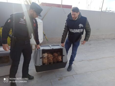 I Carabinieri con la gabbia ed i cani