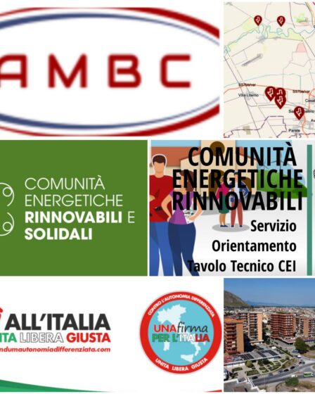 AFFERMIAMO MODELLO CER